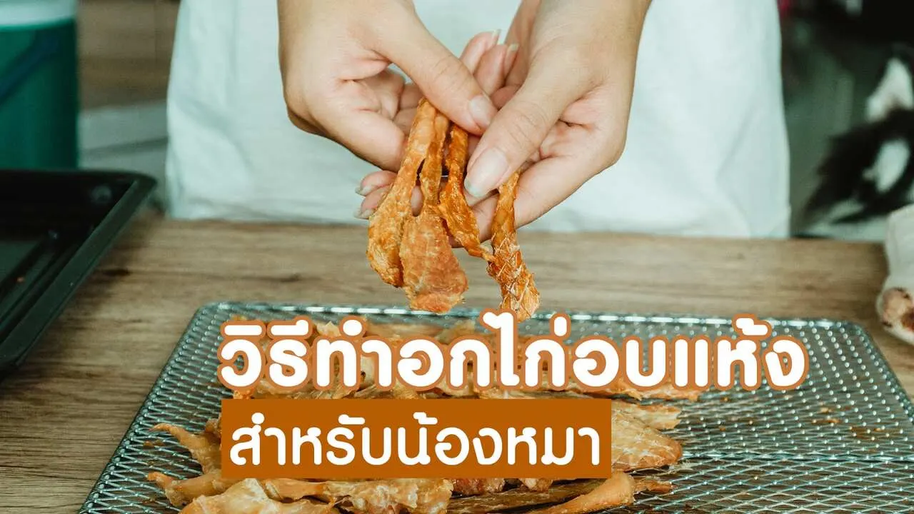วิธีทำอกไก่แดดเดียวสำหรับสุนัข: ขนมสุขภาพดีทำเองง่ายๆ ไม่ต้องตากแดด!